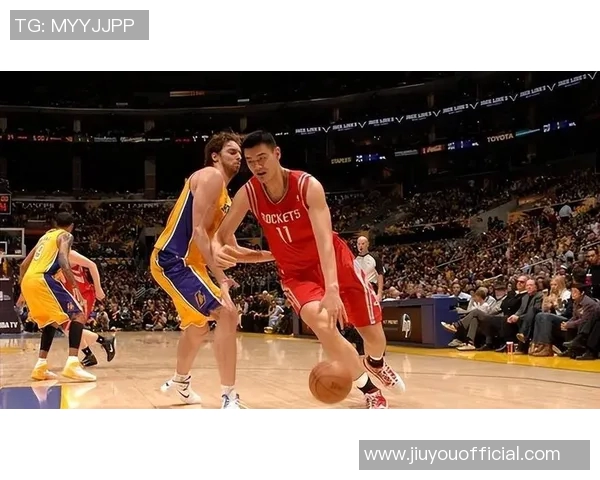 接待姚明导游的精彩旅程与篮球传奇的完美结合